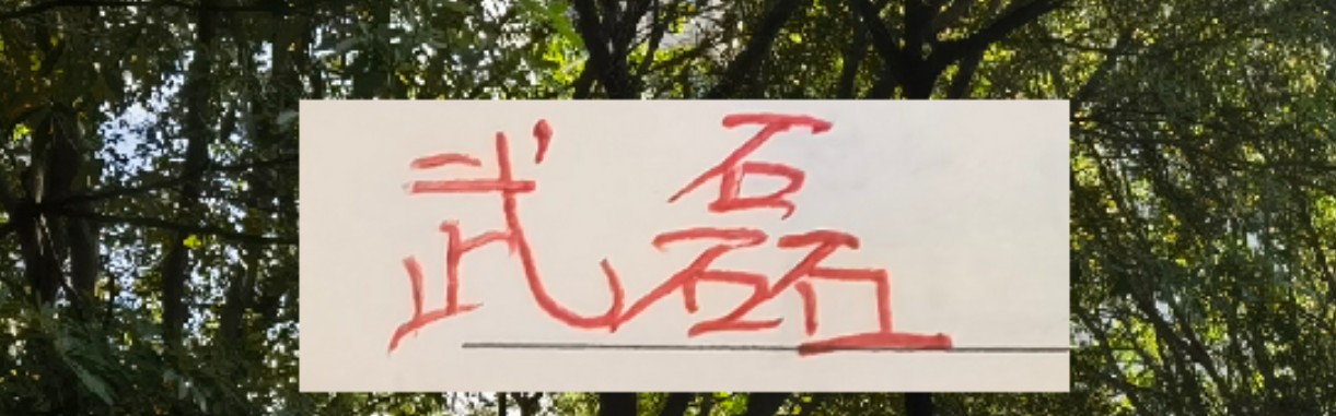 海港冬训海报 武磊跟LEO占C位 梅伦多跟加布里不在之中